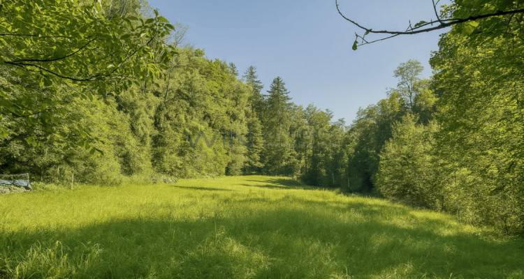 Landleben neu interpretiert: Raum für Mensch und Tier image 3