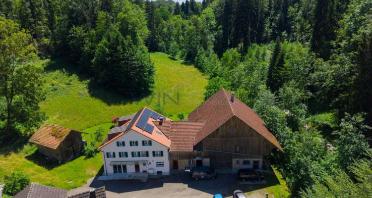 Landleben neu interpretiert: Raum für Mensch und Tier image 1