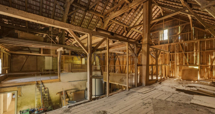 Landleben neu interpretiert: Raum für Mensch und Tier image 12