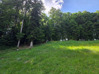 Terrain constructible de 1878 m² à La Chaux-de-Fonds image 2