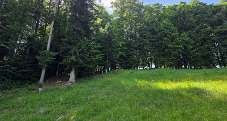 Terrain constructible de 1878 m² à La Chaux-de-Fonds image 2