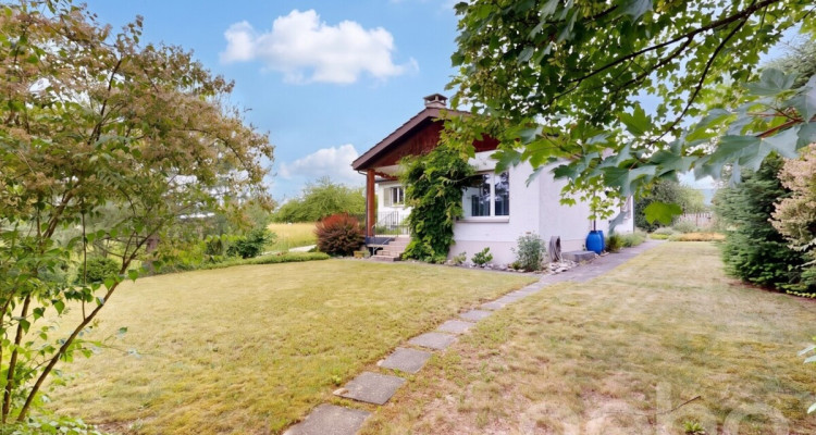 Einfamilienhaus mit separatem Atelier image 12
