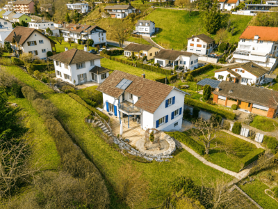 Wo Familien Wurzeln schlagen image 1