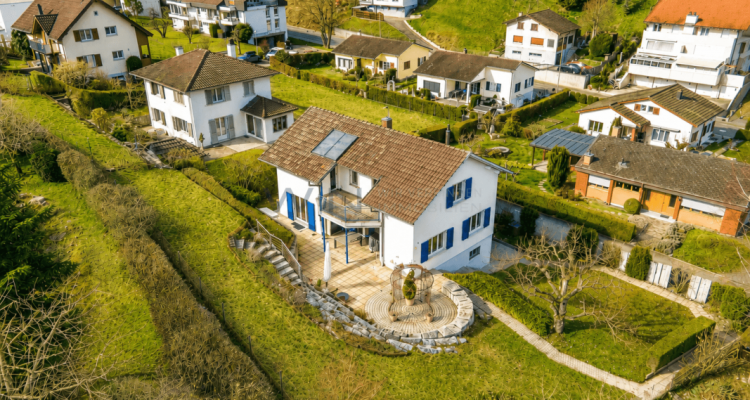 Wo Familien Wurzeln schlagen image 1