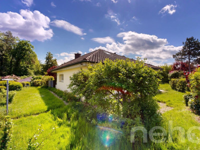 Grosszügiges 6.5-Zimmer-Einfamilienhaus mit grossem Garten image 10