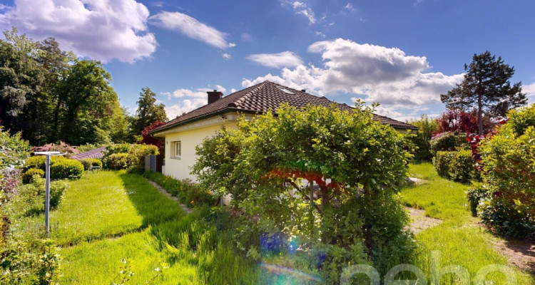 Grosszügiges 6.5-Zimmer-Einfamilienhaus mit grossem Garten image 10