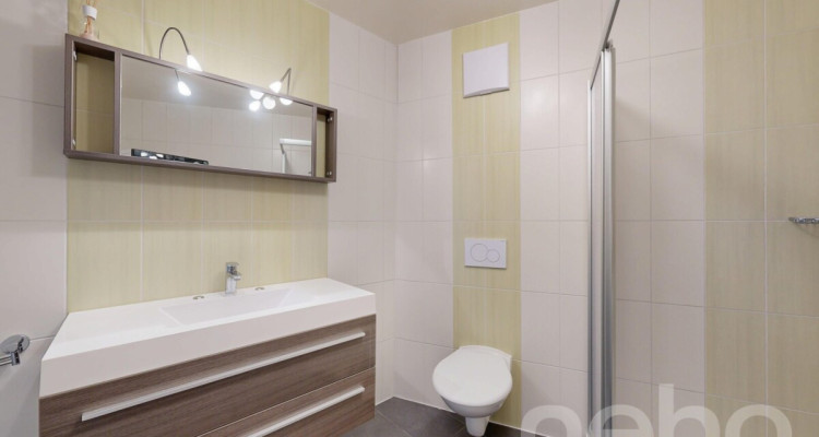 Exclusif: lumineux appartement avec grand balcon-terrasse image 9