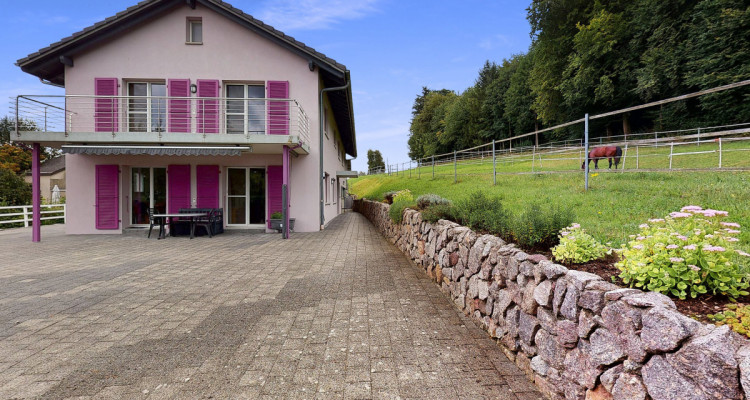 Traumhafter Lebensmittelpunkt mit eigenem Pferdestall image 3