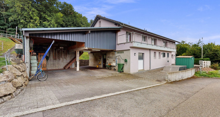 Traumhafter Lebensmittelpunkt mit eigenem Pferdestall image 2