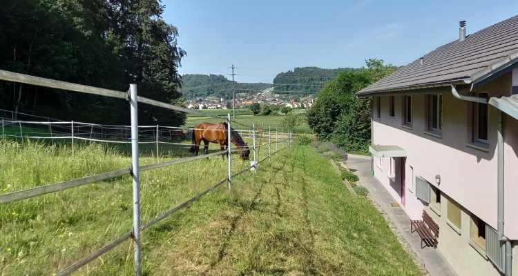 Traumhafter Lebensmittelpunkt mit eigenem Pferdestall image 9