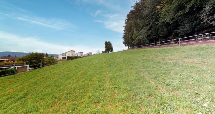 Traumhafter Lebensmittelpunkt mit eigenem Pferdestall image 5