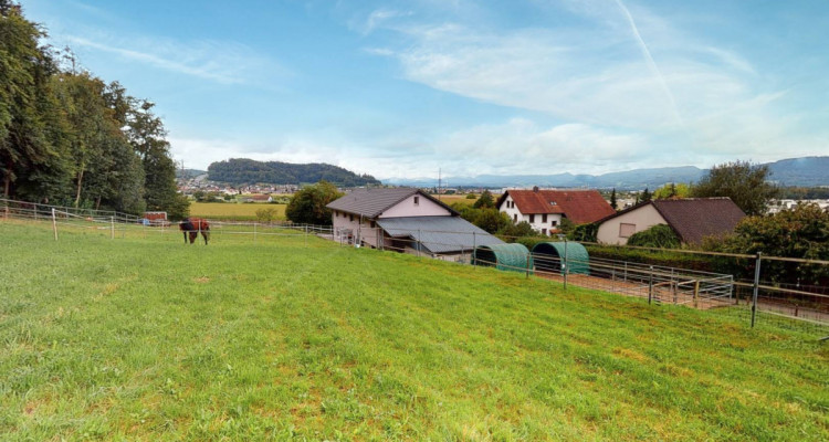 Traumhafter Lebensmittelpunkt mit eigenem Pferdestall image 6