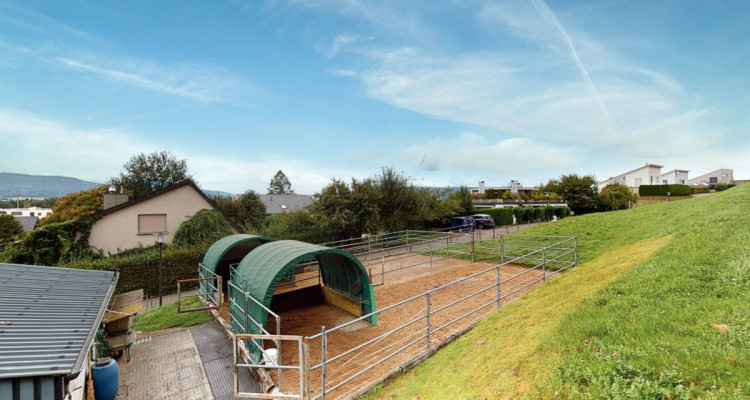 Traumhafter Lebensmittelpunkt mit eigenem Pferdestall image 7