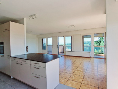 Lake View Apartment, Luxury residence with indoor pool & Jacuzzi image 6
