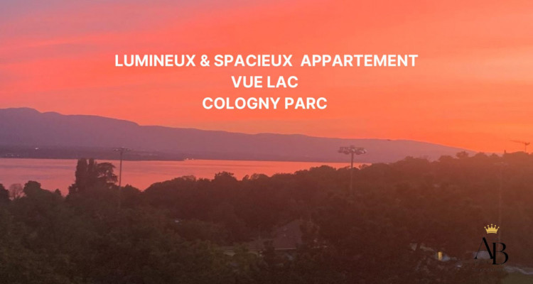 Elégant Appartement vue lac, résidence de luxe avec piscine intérieure & jacuzzi image 1