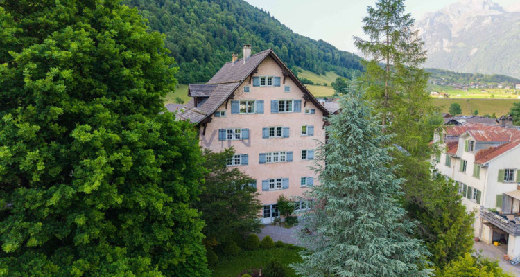 Historisches Meisterwerk für wahre Liebhaber image 4