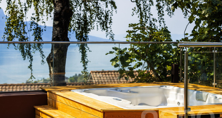 Villa de standing avec vue panoramique à 180° sur le lac Léman image 11