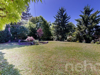 Grosszügiges 7.5-Zimmer-Einfamilienhaus mit Gartenidylle in Dornach image 2