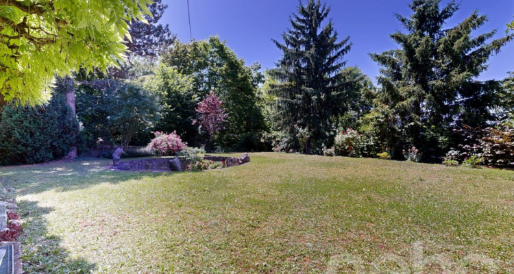 Grosszügiges 7.5-Zimmer-Einfamilienhaus mit Gartenidylle in Dornach image 2