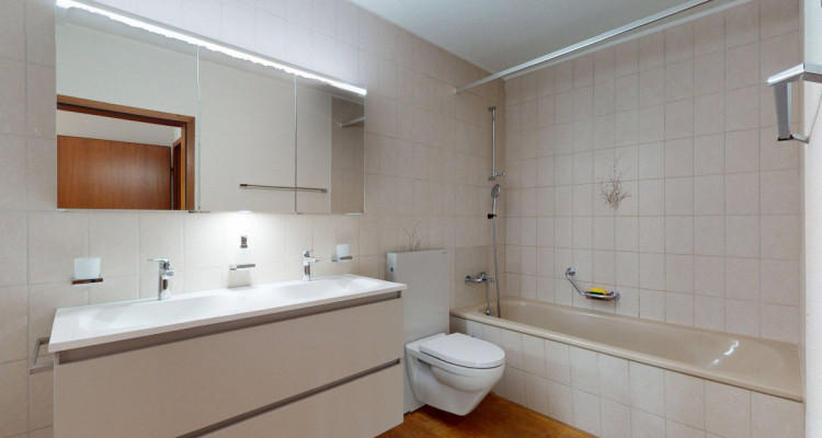 Grosszügige 4-Zimmer-Attikawohnung mit optionalem Gewerberaum image 6