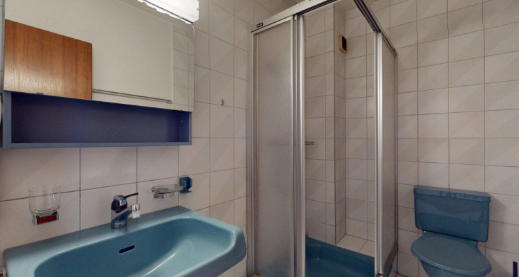 Grosszügige 4-Zimmer-Attikawohnung mit optionalem Gewerberaum image 7