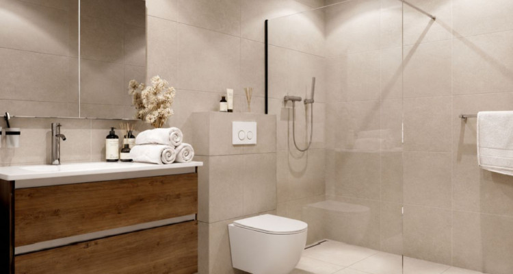 Appartements neufs 2.5 pièces à Remaufens (Veveyse) - PPE La Fouârdze image 3