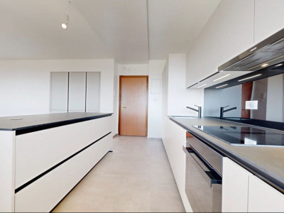 Exceptionnel appartement en attique de 4,5 pièces à Genève ✨ image 4