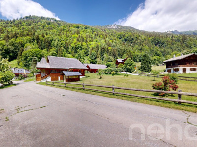 Chalet de caractère : jardin bucolique et potentiel rare image 1