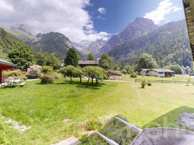Chalet de caractère : jardin bucolique et potentiel rare image 11