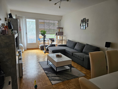 Bel appartement lumineux de 3 pièces à Genève, Rue Daubin image 1