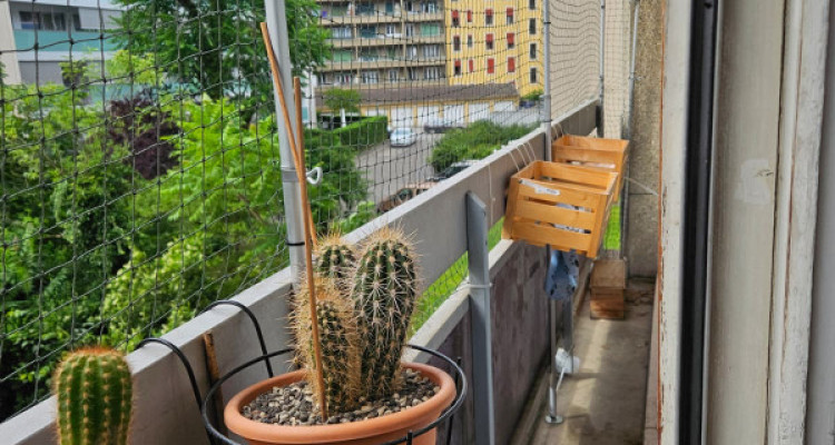 Bel appartement lumineux de 3 pièces à Genève, Rue Daubin image 8