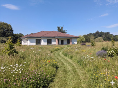 🌳Magnifique villa en pleine nature à Damphreux-Lugnez ! 2 options possibles !  image 1