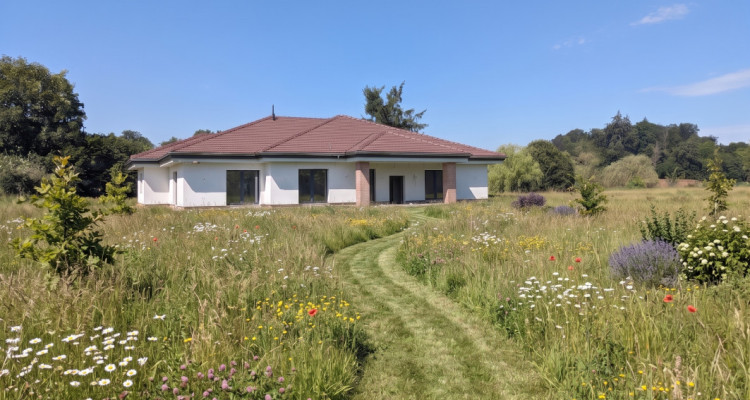 🌳Magnifique villa en pleine nature à Damphreux-Lugnez ! 2 options possibles !  image 1