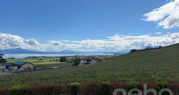 Maison contemporaine aux volumes dexception avec vue lac et Alpes image 1