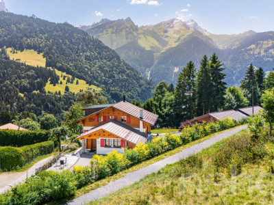 « La Bonne Étoile » ? Chalet incluant 3 parcelles constructibles image 12