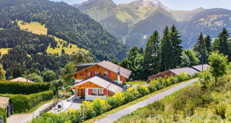 « La Bonne Étoile » ? Chalet incluant 3 parcelles constructibles image 12