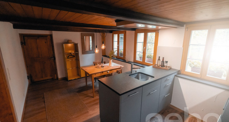Historisches Bauernhaus mit Ferienwohnung und Bergpanorama image 3