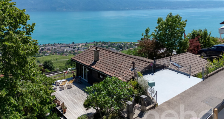 Lélégance dun chalet entre lac, vignes et montagnes image 1