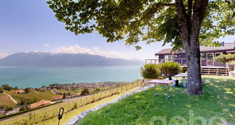 Lélégance dun chalet entre lac, vignes et montagnes image 3