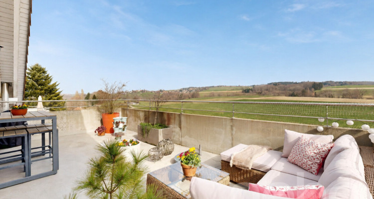 Dernier étage de 145 m², grande terrasse face à la campagne image 1