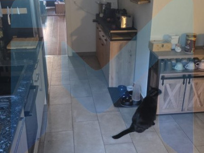 Appartement de 2,5 pièces au 1er étage situé à Orbe 1350 image 4