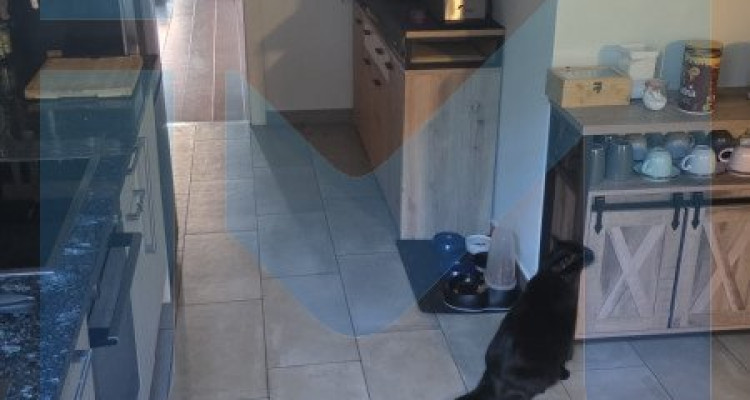 Appartement de 2,5 pièces au 1er étage situé à Orbe 1350 image 4