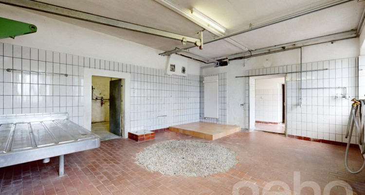 Ein Zuhause mit Raum für Ideen - Wohnen, Arbeiten und Gestalten image 9