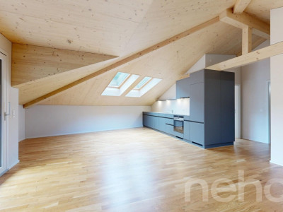 2.5-Zimmer-Attikawohnung mit Weitblick in Spiringen image 1