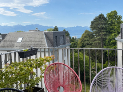 Sublime Loft 80m2 (appartement + rooftop) à Lausanne image 2