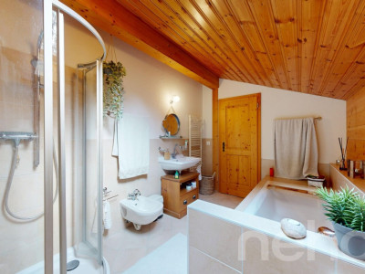 Magnifique chalet dans le hameau de Veyges image 7