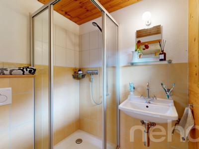 Magnifique chalet dans le hameau de Veyges image 10