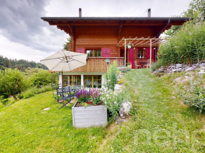 Magnifique chalet dans le hameau de Veyges image 11