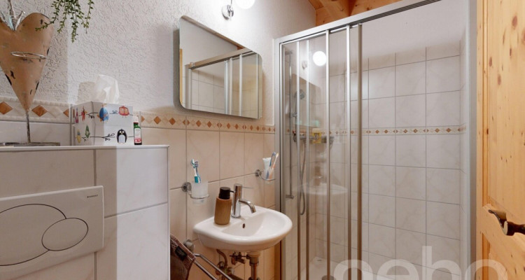 Magnifique chalet dans le hameau de Veyges image 10