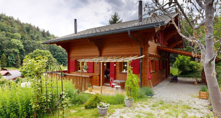 Magnifique chalet dans le hameau de Veyges image 11